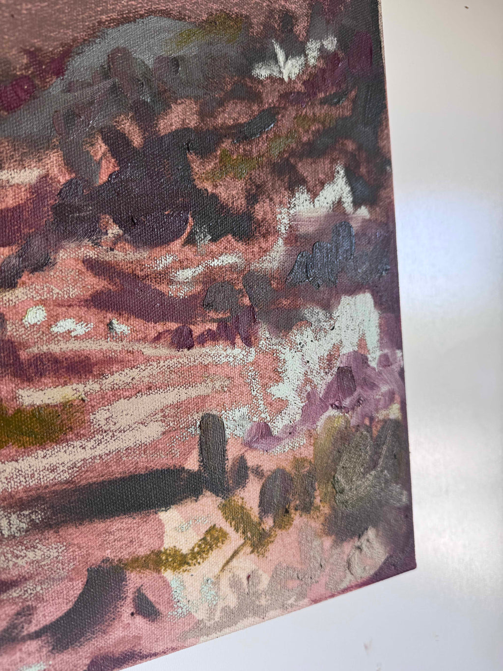Field Note No. 05 - Sanctuary